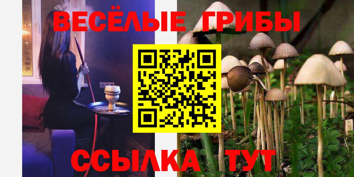 Псилоцибиновые грибы MAGIC MUSHROOMS Нягань
